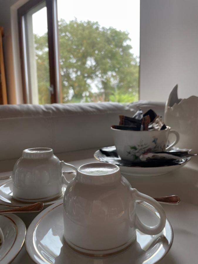 Vieniacasaccadia Bed & Breakfast エクステリア 写真