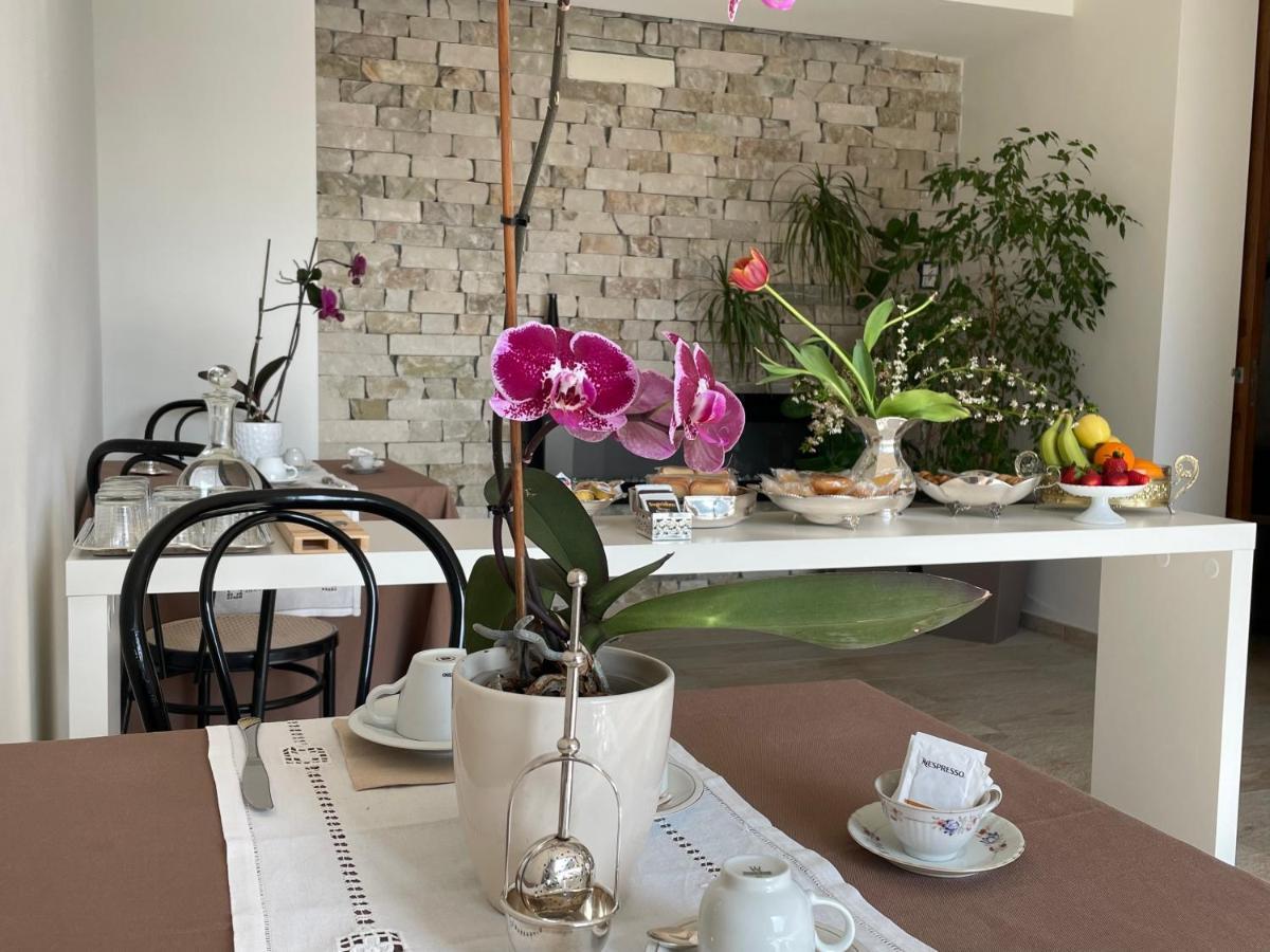 Vieniacasaccadia Bed & Breakfast エクステリア 写真