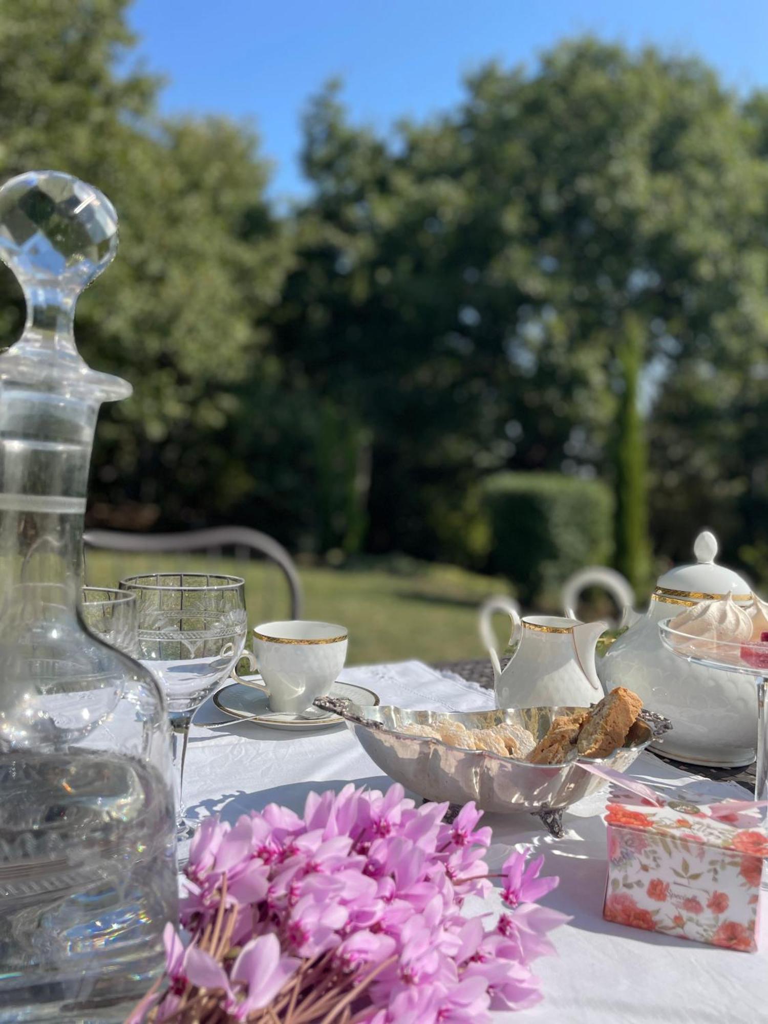 Vieniacasaccadia Bed & Breakfast エクステリア 写真